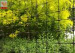 Strong Black Plastic Mesh, Deer Fence Netting, Deer Barrier, 1 Meter High, 50MM