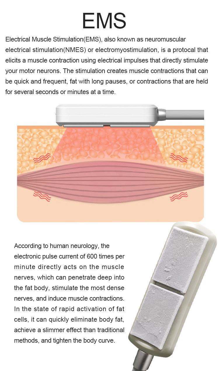 Ems Slimming Machine Cryoplate Body Sculpting Other Beauty Salon Equipment