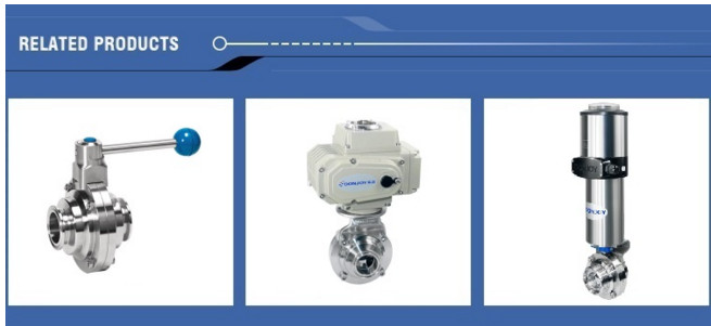 DN50 Horizontal Actuator Pneumatic butterfly ball valve with clamped connection