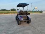 2 Seater Electric Golf Cart Lithium Battery Classic Off Road Model Supports