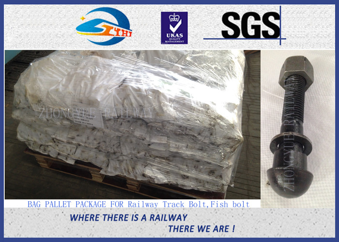 Railroad Track Bolts Fish Bolts hexagon head bolt for railway fastening system