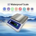 Product Idea 2024 304 Stainless Steel Balance Scale 6KG Maximum Range Unit lb oz