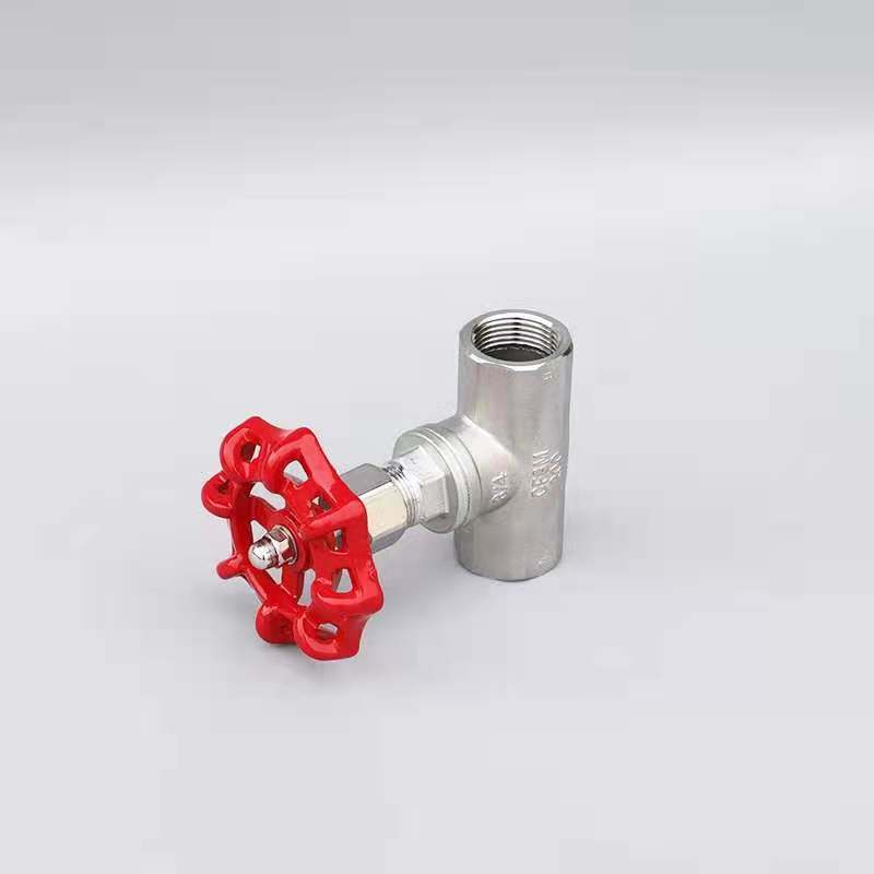 200psi Stainless Steel 304/316 Bsp Thread Globe Valve