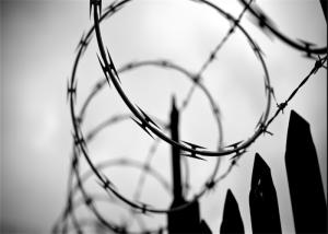 China Concertina Coils CBT -65 Galvanized Single Razor Wire Fence Barbed Razor Wire on sale