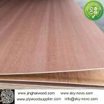 sapele plywood