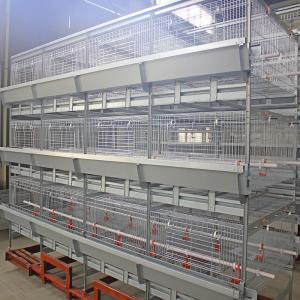 Quality H Type 500cm2 Meat Chicken Cage , ISO9001 3/4 Tiers Broiler Poultry Equipment wholesale