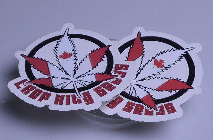 Customized outdoor use UV resistant die cut decal sticker individual sheet