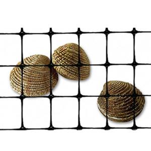 Quality 40-40kn PP Biaxial Plastic Geogrid for Road Construction and Foundation Reinforcement wholesale