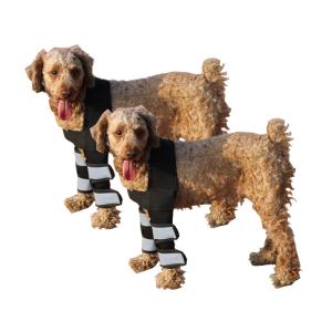Quality Hock Joint Sports Knee Pads Breathable Shockproof Custom Small Dog Knee Brace wholesale