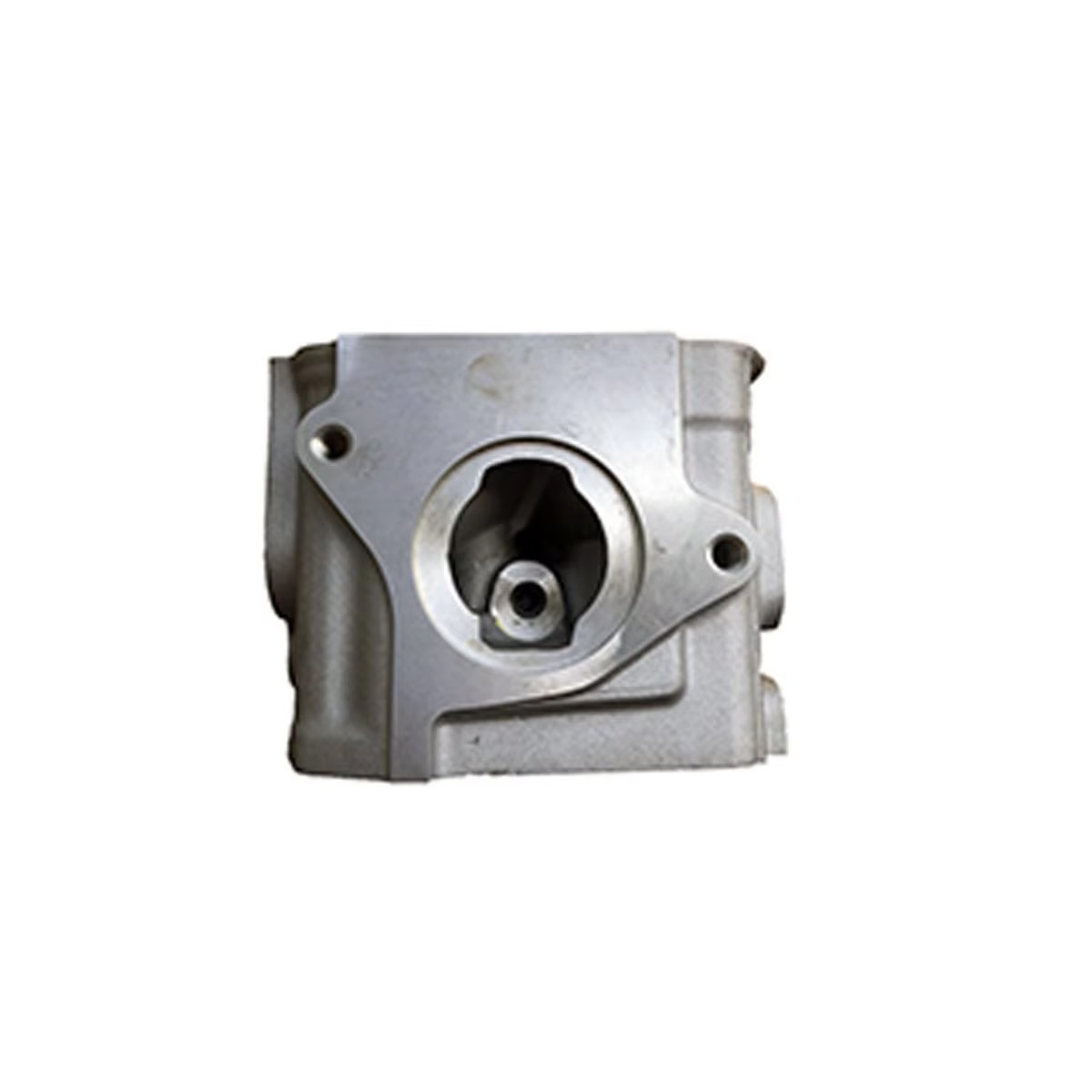 Auto Engine Parts C16NZ Engine Cylinder Head 94581192 92089854 Compatible Opel Corsa GL 1.6 MPFI / 1.4 EFI 2P E 4P GASOLINA 1997