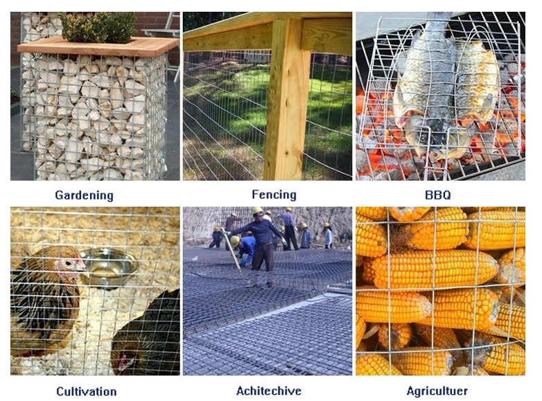 1x2 Inch Welded Wire Mesh Fencing Panels 304SS