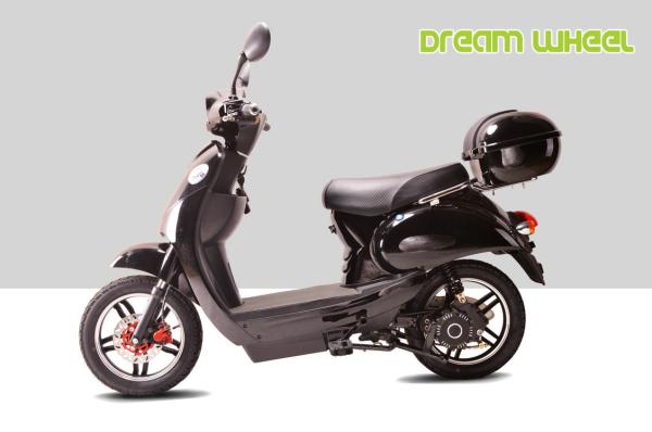 European standard 2 Wheeled 250 Watt Motorized Electric Scooter Gear Motor Full
