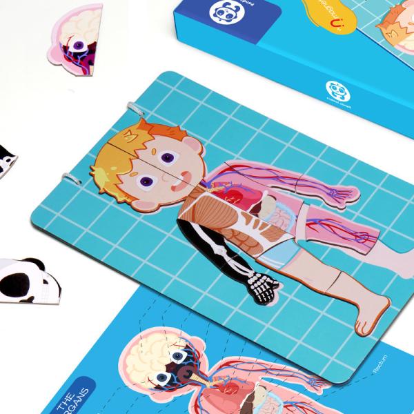 Magnetic Educational Puzzle Human Body Internal Anatomy Montessori Homeschooling