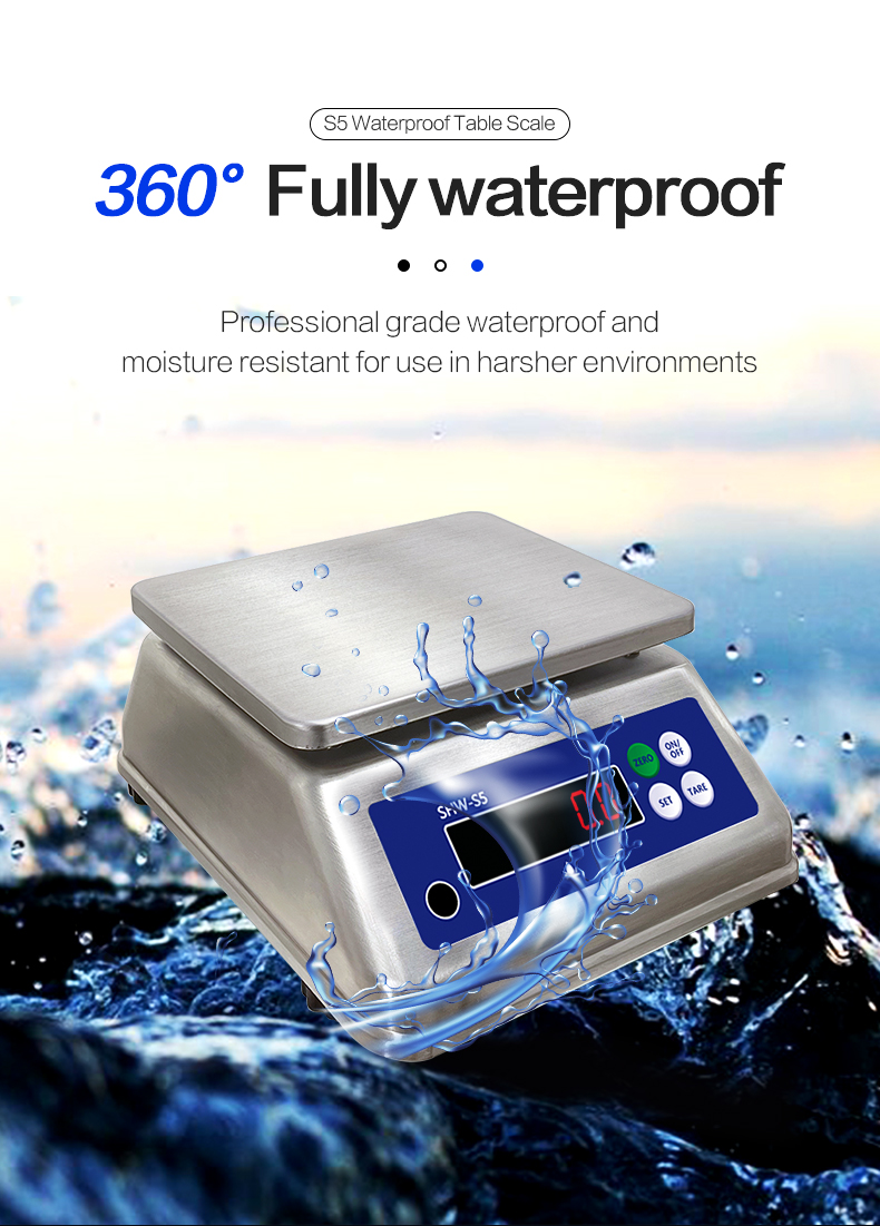 SOHE S5 3KG Stainless Steel Scale with Dual LED Display and IP68 Waterproof Rating