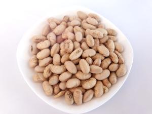 Quality Salted Soaked Yellow Dried Soybeans Snack Crispy Taste Full Nutrition wholesale