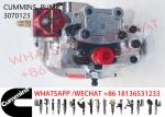 3070123 Cummins Nta855 Common Rail Injection Pump 3075537 3059657 4076760