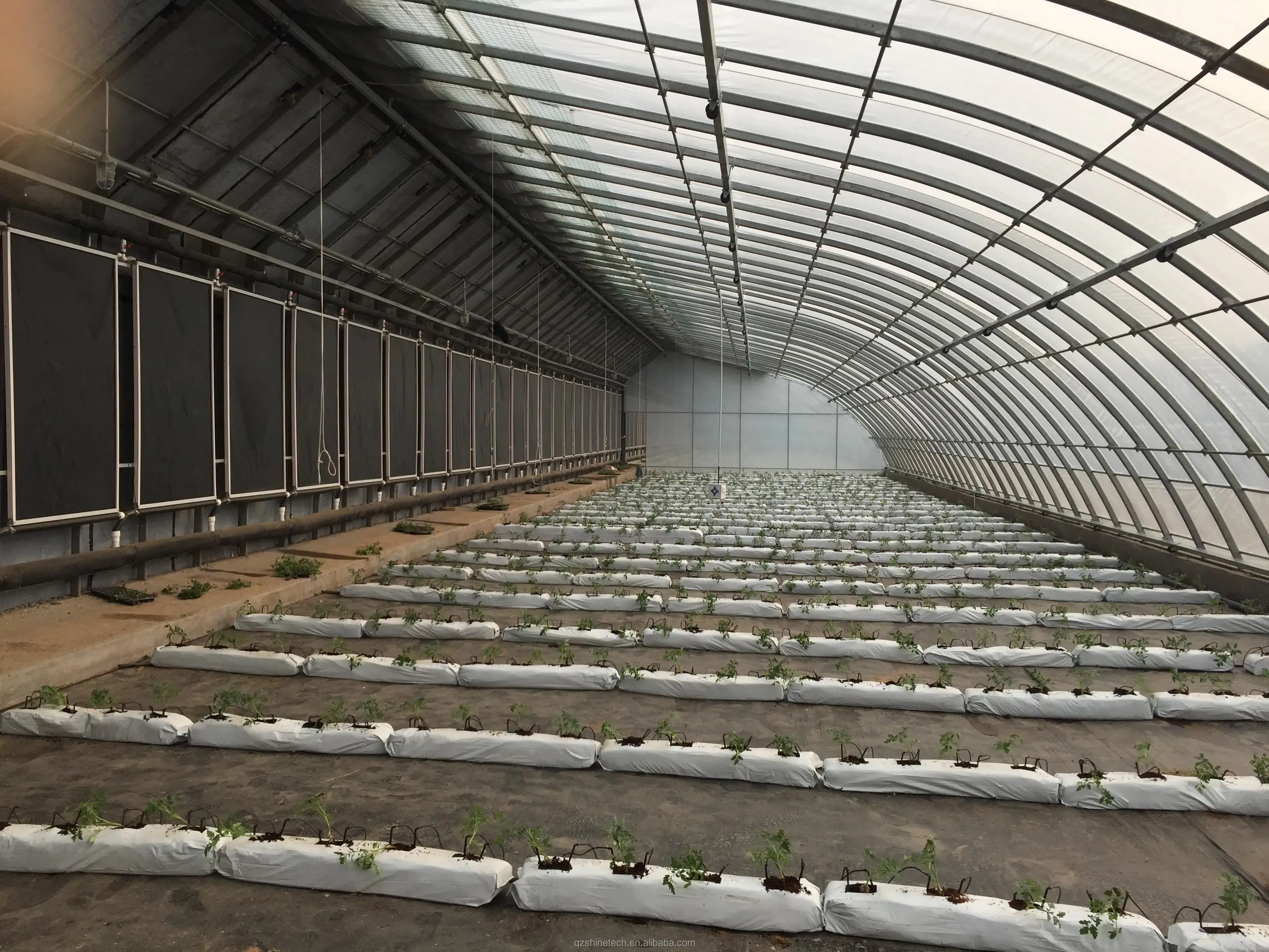 Solar Greenhouse 50-120m Length With Double Arch Galvanized Steel Structure