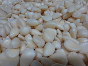 Quality IQF frozen garlic cloves with BRC certificate wholesale