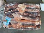 BQF 200G 300G Whole Round Fresh Frozen Illex Squid