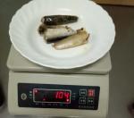 125g Net Weight Canned Sardines In Vegetable Oil Rich Various Nutrition