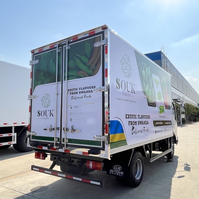 4x2 SINOTRUK HOWO 3-5 Ton Small Frozen Food Delivery Truck With 4m Freezer Box