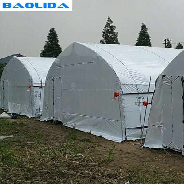 Off Season Tunnel Plastic Film Greenhouse Mushroom Greenhouse