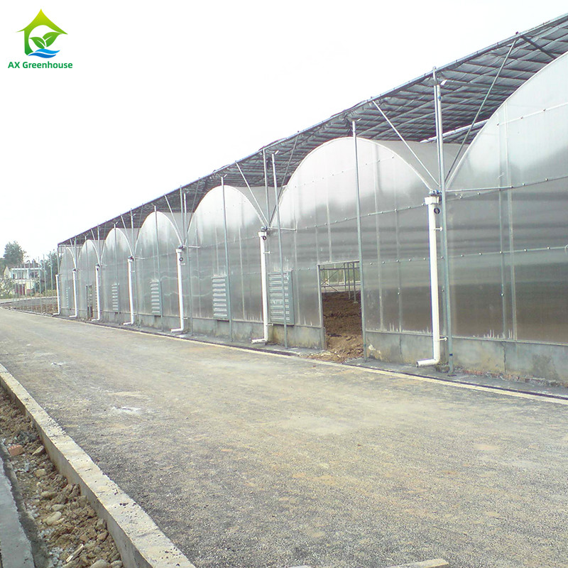 Multi-span Agricultural Poly Tunnel Plastic Greenhouse with Steel Tructure and Irragation System