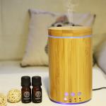 24V Best Bamboo Humidifier Ionizaer Spa Ultrasonic Aroma Diffuser for Dry Skin