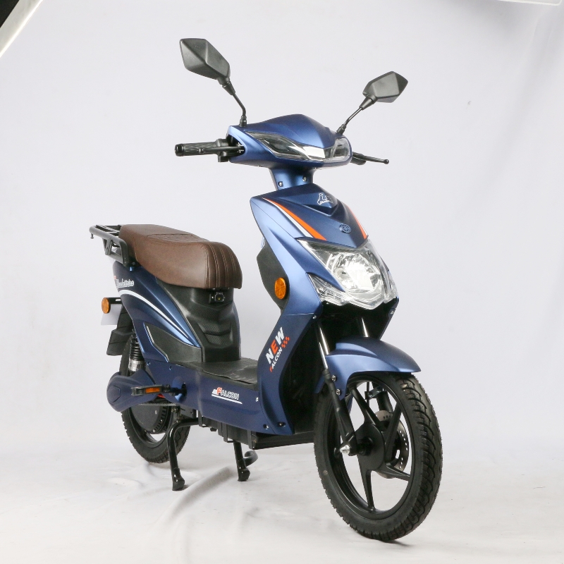 Long Range Electric Moped Bike 48V 800W High Power EEC Electric Scooter