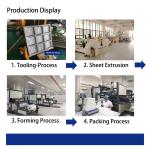 Disposable Freezing Food Grade PP Heat Sealing Plastic Frozen Food Meat