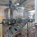 1000L Fixed High Shear Vacuum Emulsifier Mixer Heating Cosmetic Reactor