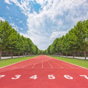 Quality UV Resistance Permeable Sandwich System Running Track Waterproof wholesale