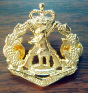 Quality lapel pin, football pin, enamel badge, printing badge,Brass/Copper /Zinc alloy/Iron/pewter wholesale