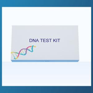 Quality Gene Sequencing DNA Collection Kit Parent Child Relationship Detection Kit wholesale