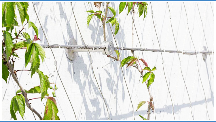 stainless steel wire rope mesh