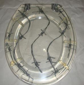 Quality poly-resin toilet seat cover,decor toilet seat,tranparent toilet seat wholesale