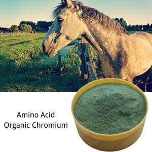 Quality Amino Acid Trace Elements Protein Chromium 8% Animal Feed Additive wholesale