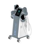 DC66 Electromagnetic EMS Sculpting Machine , Tesla Sculptor 2800W
