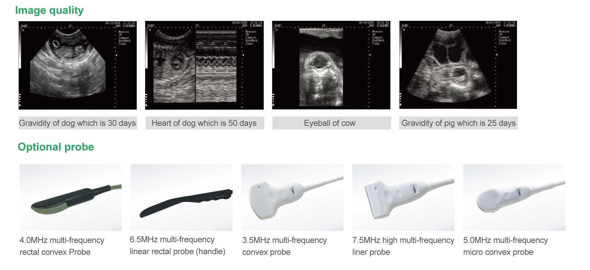 Gray Medical Veterinary Equipment 5.7 Inch Wrist Veterinary Ultrasound Scanner
