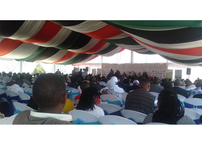 Alumninum 30x50m Church Clear Span Marquee With PVC Top