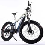 Disc Brake 26 Inch Electric Fat Tire Bike With 48V 14.5AH Lithium Battery