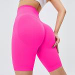 Nylon Spandex High Elastic Butt Lifting Leggings For Dancing Archery