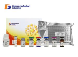 Quality Disposable 96 Wells Size Bovine ELISA Kits High Sensitivity And Specificity wholesale