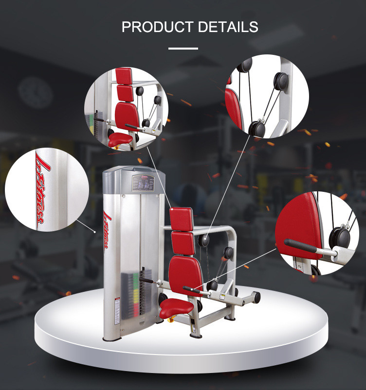 Sliver Frame Life Fitness Strength Equipment , Gym Bodybuilding Tricep Press Machine