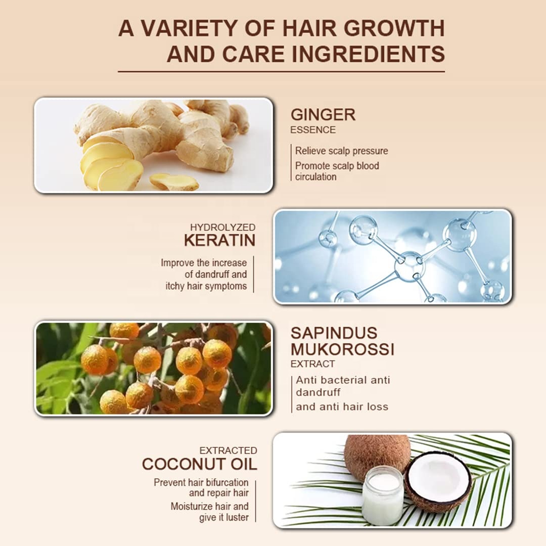 All Hair Types Anti-hair Loss Organic Hair Care Set with Ginger Shampoo and Conditioner
