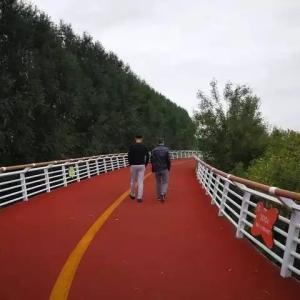 Quality Infilled Rubber Jogging Track 3.5mm EPDM Granules Colorful Outdoor Rubber Walkway wholesale