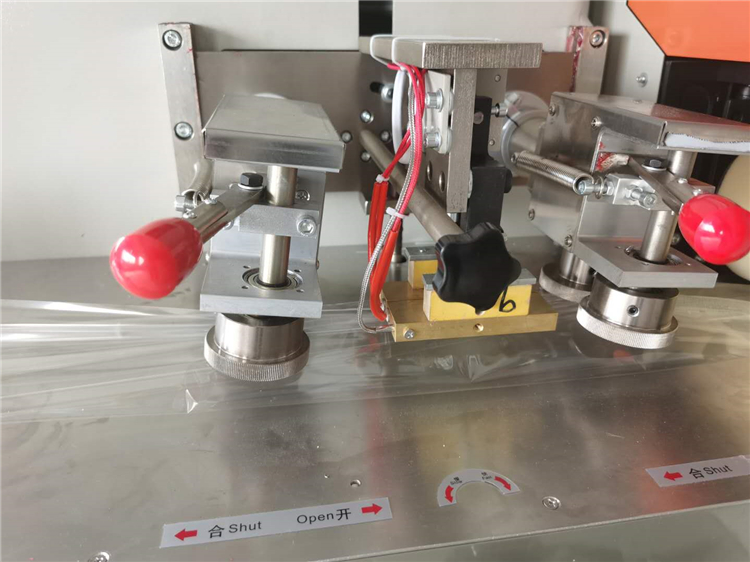 OEM Fruit Vegetable Packing Machine 600mm 100bags/min Pillow