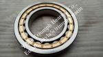 NTN Eccentric Bearing 85UZS89,35UZ8671T2S,22UZ411