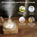 Solid Wood Glass Aroma Diffuser▕ DN-839