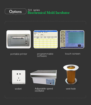 Lab SPX Cooling Incubator Medical Biological Low Temperature Bod Incubator